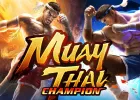 Muay Thai Champion