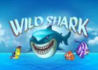 🦈Игровой автомат Wild Shark: окунись в морскую пучину🌊 с акулами